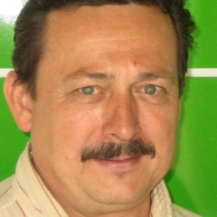 Bacher László